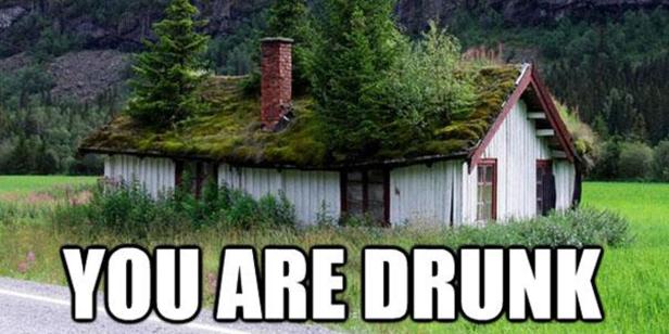 Ein kleines Haus mit Gras und Bäumen auf dem Dach steht in einer grünen Landschaft.