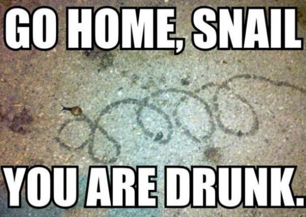 Eine Schnecke hat eine gewundene Schleimspur auf dem Boden hinterlassen.