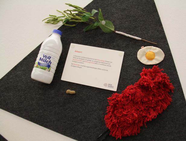 Eine Flasche Vollmilch, ein Zettel mit Informationen über Allergien, ein Ei, eine Erdnuss und ein Staubwedel liegen auf einem grauen Untergrund.