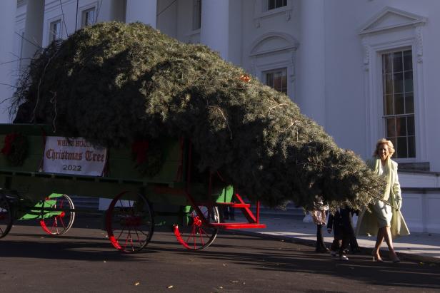 Jill Biden: Enkerl Beau stiehlt Christbaum fürs Weiße Haus die Schau