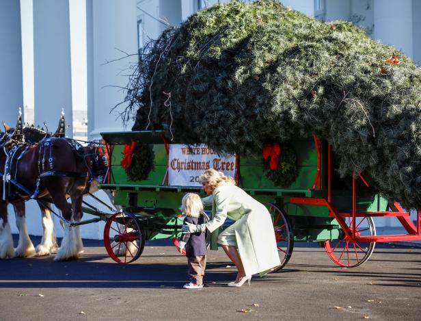 Jill Biden: Enkerl Beau stiehlt Christbaum fürs Weiße Haus die Schau