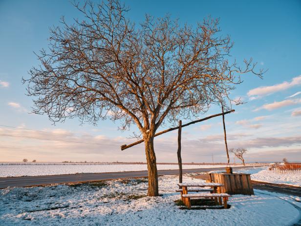Ein Baum mit einem Ziehbrunnen und einer Bank in einer verschneiten Landschaft.