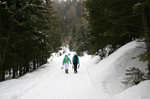 Zwei Personen wandern auf einem verschneiten Weg durch einen Wald.