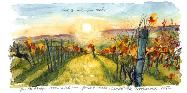 Eine Aquarellmalerei eines Weinbergs im goldenen November bei Sonnenuntergang.