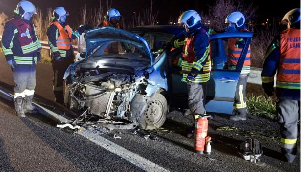 NÖ: Pferde liefen nach Verkehrsunfall frei auf A3