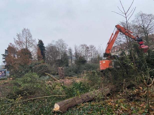 Sturm der Entrüstung: In St. Pölten fallen Bäume für Kinderprojekt
