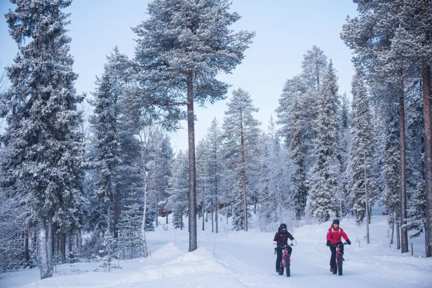 Finnisch-Lappland: Mit dem Rentier durch die Winterlandschaft