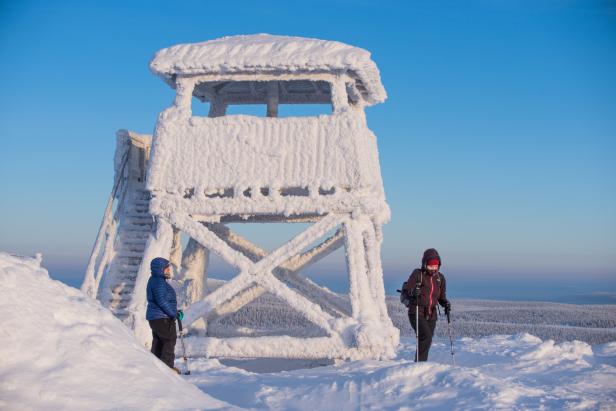 Finnisch-Lappland: Mit dem Rentier durch die Winterlandschaft