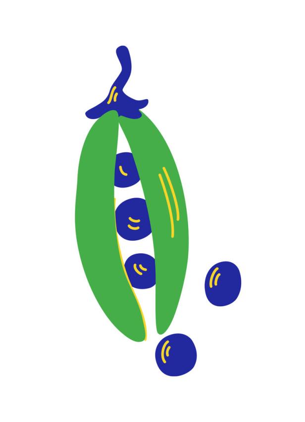 Eine grüne Erbsenschote mit blauen Erbsen.