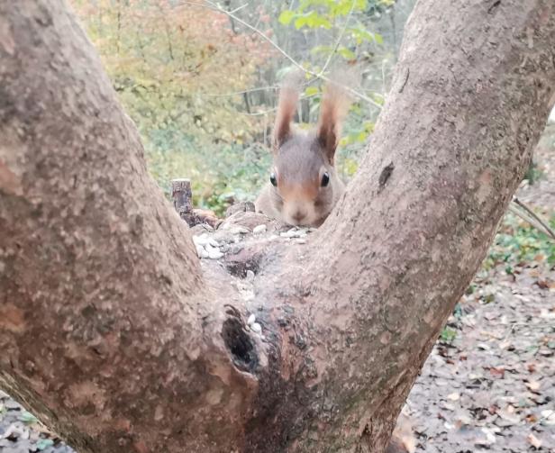 Foto-Aufruf: Was macht Sie glücklich?