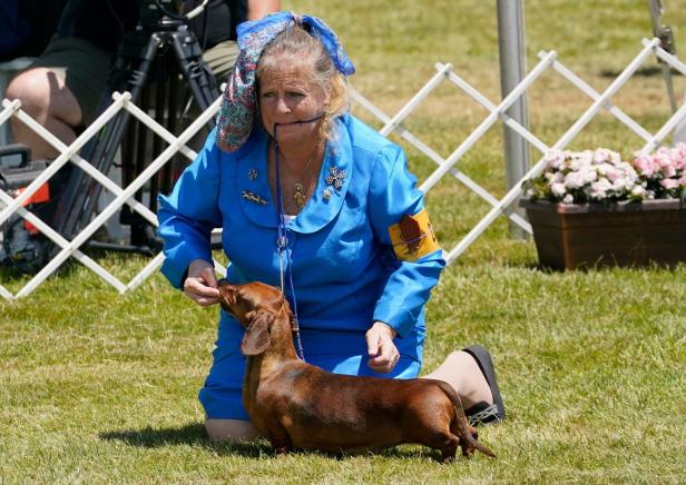 Eine Frau im blauen Kostüm füttert einen Dackel auf einer Wiese.