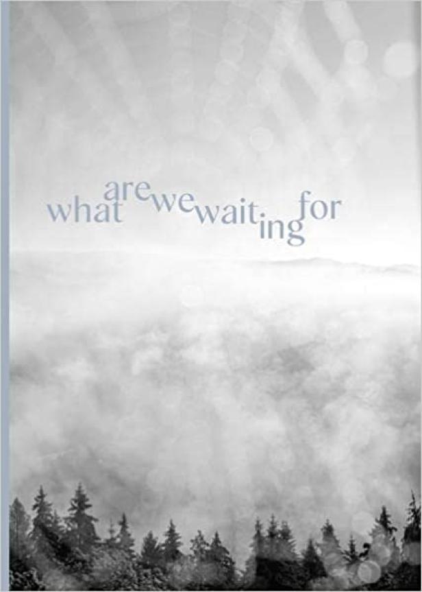 Ein nebliger Wald unter einem Himmel mit der Frage „What are we waiting for“.