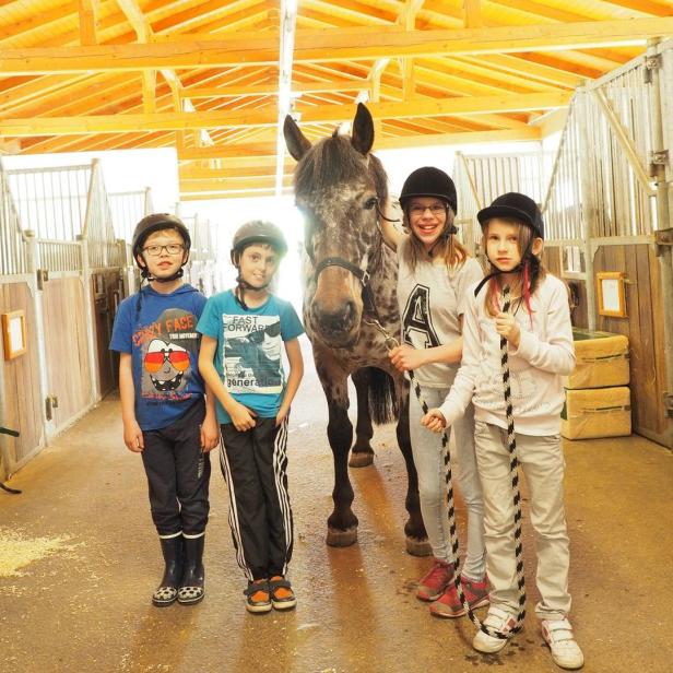 Vier Kinder mit Helmen stehen mit einem gescheckten Pferd in einem Stall.