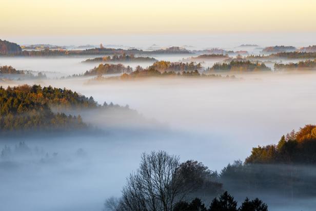 Eine neblige Landschaft mit bewaldeten Hügeln im goldenen Morgenlicht.