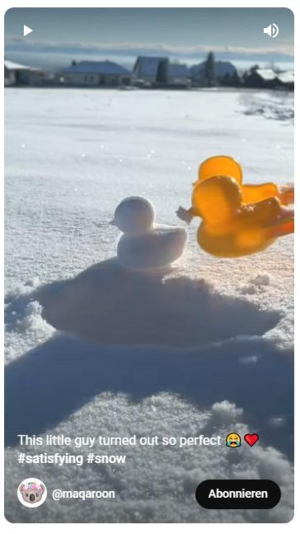 Joanna Zhous meistgesehenes Video: Sie formt eine Ente aus Schnee