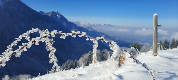 Foto-Aufruf: Was macht Sie glücklich?