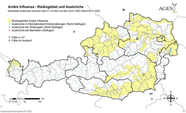 Vogelgrippe: Mehrere Fälle bei Wildvögeln in Wien und NÖ