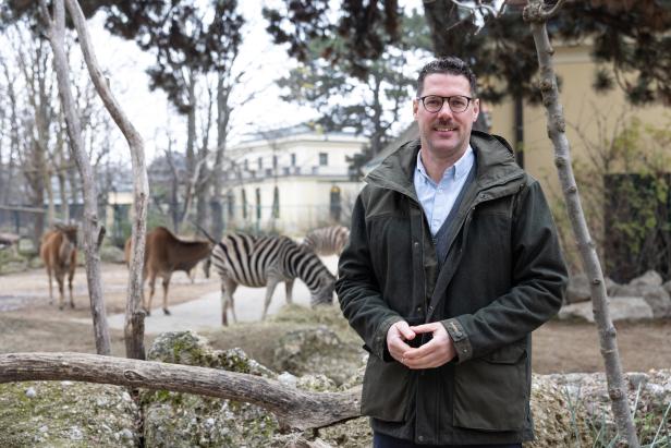 Nachwuchs in Schönbrunn: Wenn der Tiergarten zum Kindergarten wird