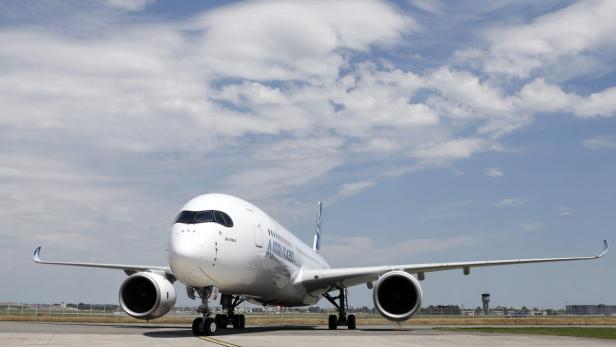 Airlines wollen Kerosin-Durst zügeln