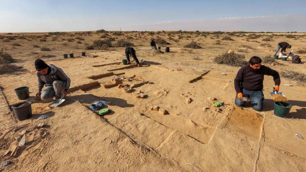 ISRAEL-ARCHAEOLOGY Warum steinalte Straußeneier die Wissenschaft interessieren