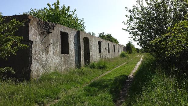 Eine lange, verfallene Betonmauer mit rechteckigen Öffnungen steht neben einem grasbewachsenen Weg.