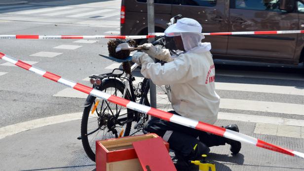 Radfahren mit 15.000 Bienen