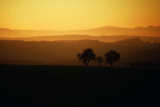 Winterwandern im Burgenland: Einmalige Erlebnisse