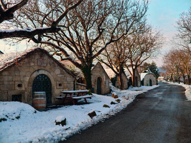 Winterwandern im Burgenland: Einmalige Erlebnisse