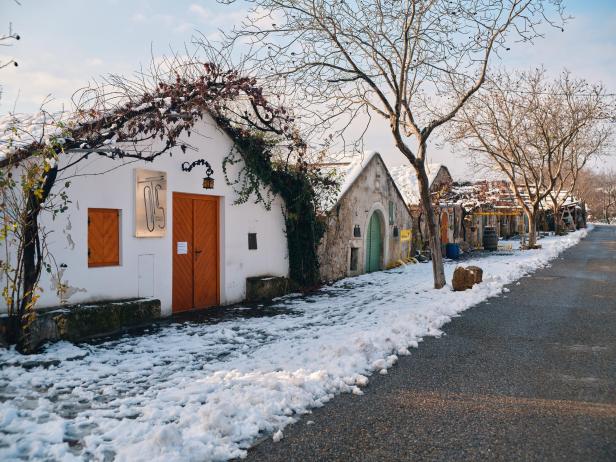 Winterwandern im Burgenland: Einmalige Erlebnisse