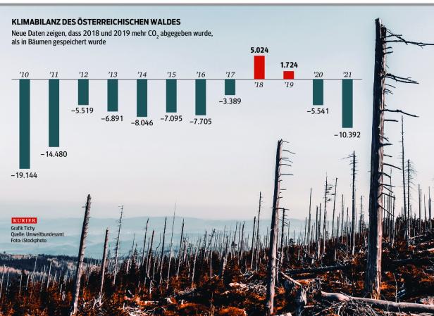 Traurige Premiere: Der Wald als Treibhausgas-Verursacher