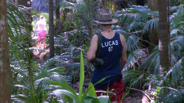 Lucas Cordalis kehrt ins Dschungelcamp zurück
