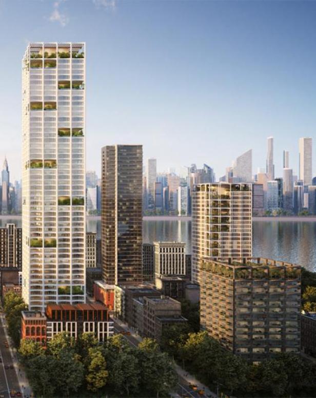 S_s_miysis_som_urban_sequoia