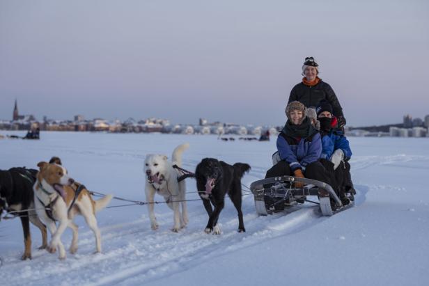 Schnell im Schnee: Mit Hunden und Toyota RAV4 GR Sport in Schweden