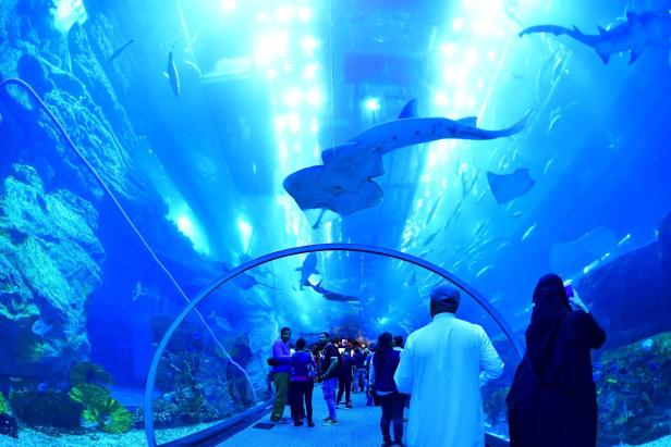 Besucher beobachten Fische und Rochen in einem Unterwassertunnel eines Aquariums.