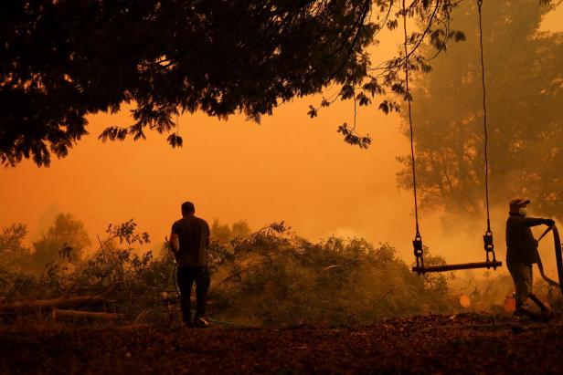 Waldbrände in Chile: Sieben mutmaßliche Brandstifter verhaftet