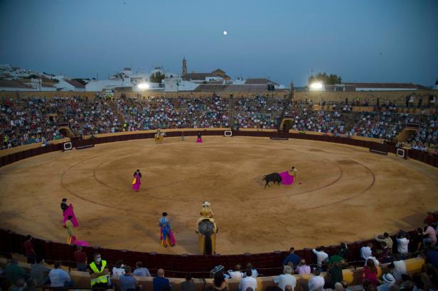 Urteil: Stierkämpfe in Spanien sind laut Höchstgericht "Kulturgut"