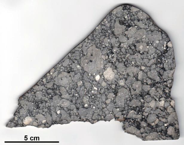 Der "schönste aller Mond-Meteoriten" landete im Naturhistorischen Museum