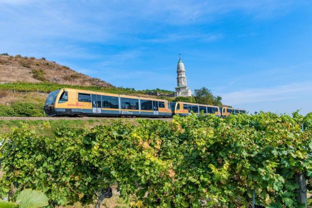 Ein Zug fährt durch die Weinberge, umgeben von grünen Weingärten und sanften Hügeln.