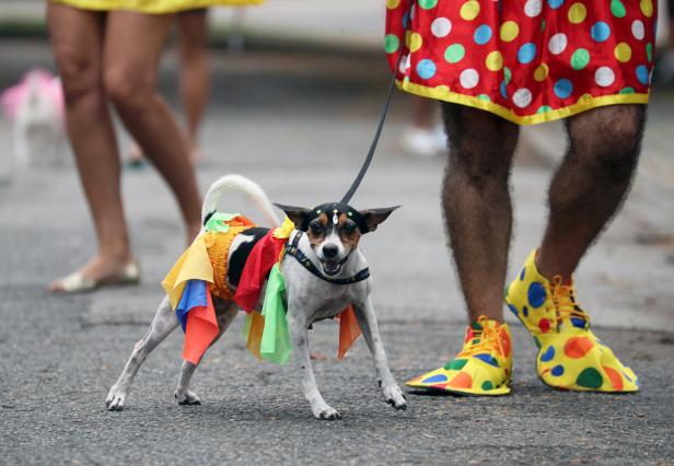Heiße Rhythmen, nackte Haut: Rio eröffnete Karneval