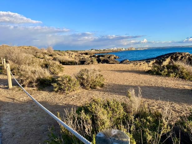 Was Mallorca im Winter zu bieten hat: Tipps für einen  Kurztrip