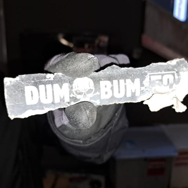 Video: DumBum-Bande nach monatelangen Ermittlungen geschnappt