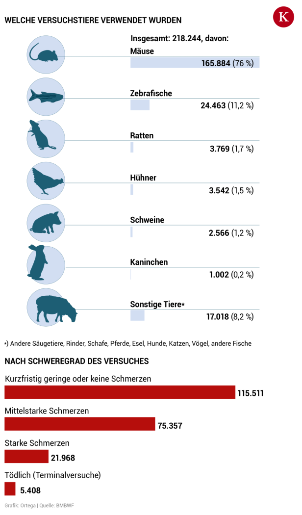 Nie wieder Tierversuche? Wie die Maus ersetzt werden kann