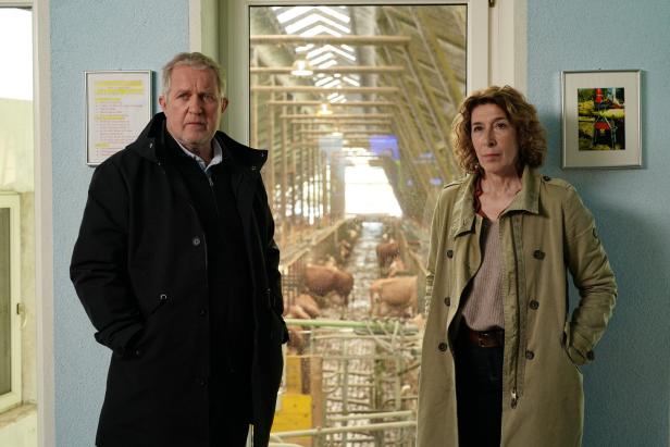 Premiere für "Tatort" aus Wien: "Was ist das für eine Welt"