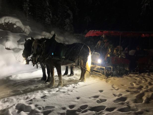 St. Johann im Pongau: Die Pferdestärken des Gerhard Berger