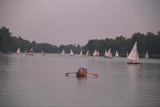 Ein Ruderboot mit zwei Personen auf einem See mit vielen Segelbooten.
