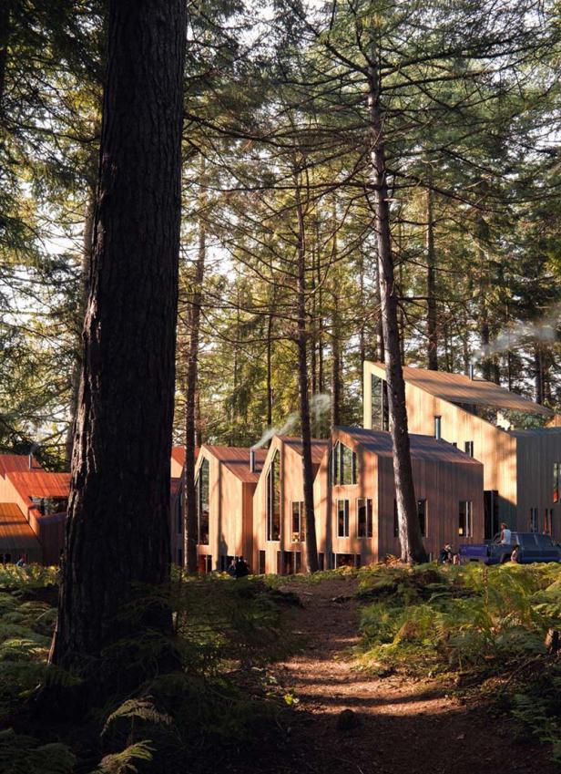 Holzhäuser mit großen Fenstern stehen in einem Waldgebiet.