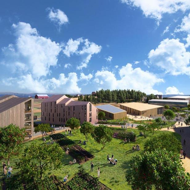 Eine Gartenanlage mit mehreren modernen Holzgebäuden im Hintergrund.