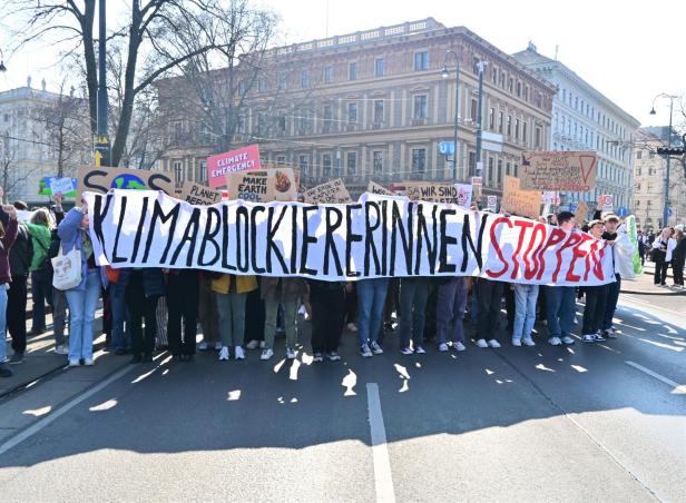 25.000 Menschen bei "Fridays For Future"-Klimastreik in Wien