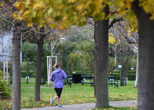 Eine Frau joggt in lila Jacke durch einen Park im Herbst.