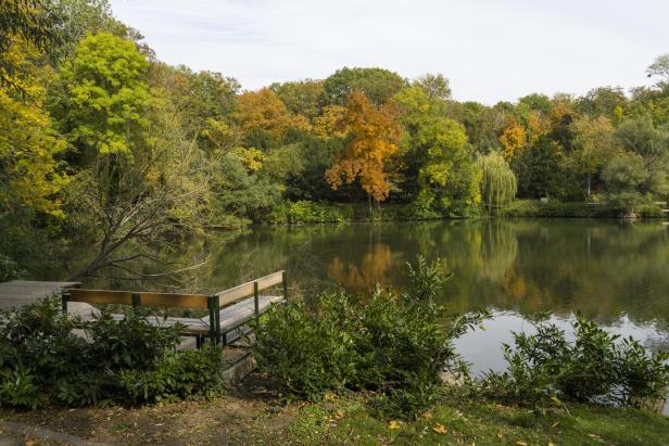 Ein See spiegelt die bunten Herbstbäume wider, im Vordergrund eine hölzerne Plattform mit Bank.